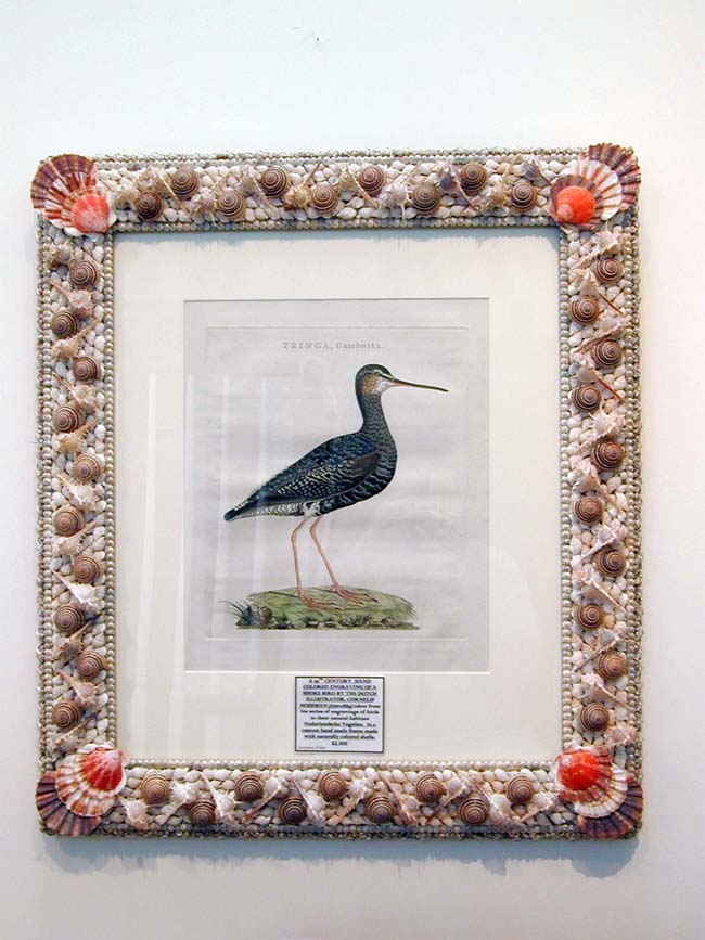19th Century Engraving of a Shore Bird by C. Nozeman in a Custom Made Shellwork Frame