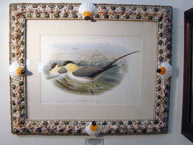 Fine 19th Century Hand Colored Lithograph of Shore Birds By Gould and Richter in a Shellwork Frame