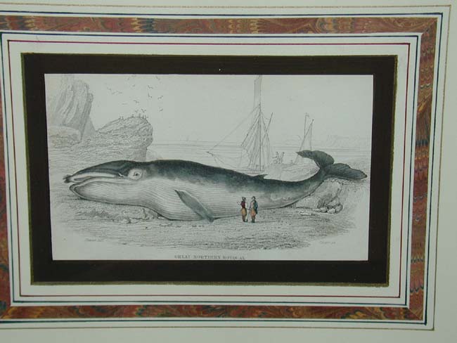 Fine Pair of Whaling Prints Published in 1837