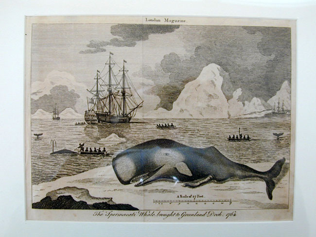 Fine 18th Century Engraving Entitled "The Spermacaeti Whale Brought to Greenland Dock, 1762"