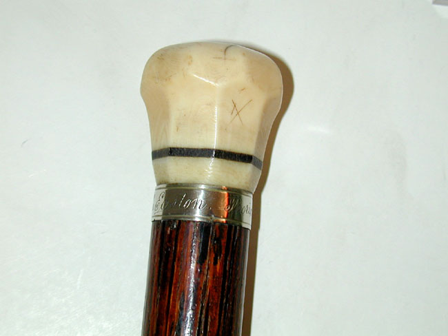 Antique Whale Ivory Knobbed Walking Stick With Inscribed Silver Ring Dated 1854