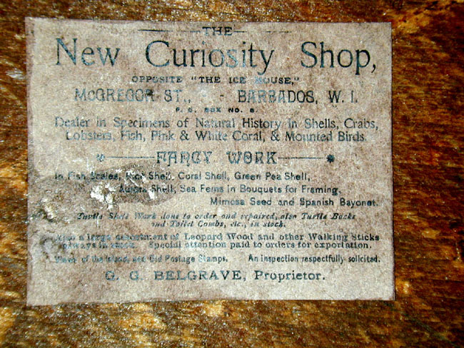 Antique Sailor's Valentine With Original Barbados Trade Label — image 4