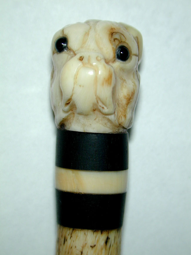 A 19th century Sailor-Made Whalebone Pointer With Whale Ivory Bull Dog Knob — image 2