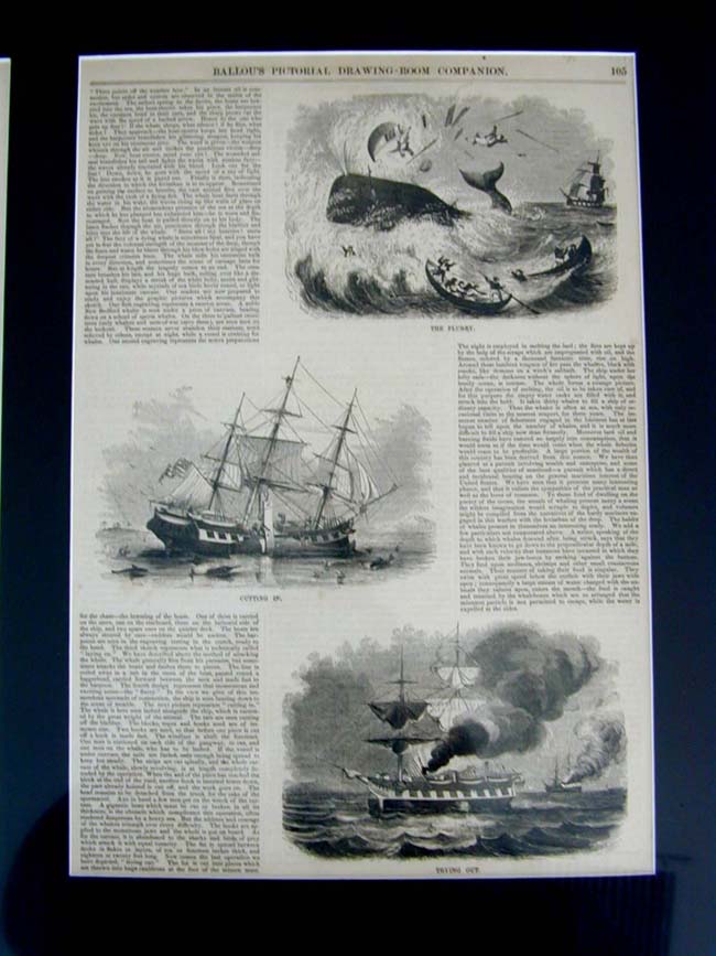 A Series of Six 19th Century Whaling Engravings Published in Ballou's Pictorial Magazine of Boston — image 2