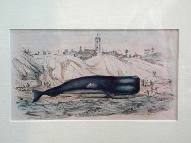 A Framed Grouping of 19th century Whaling Related items — image 2