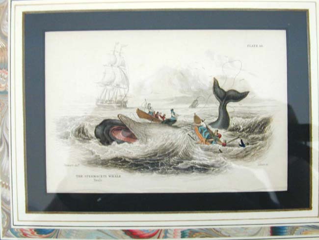 A Fine set of Four Original Hand Colored Engravings of Whaling Published by W. Lizars in 1837