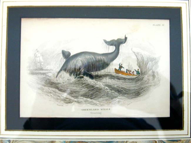 A Fine set of Four Original Hand Colored Engravings of Whaling Published by W. Lizars in 1837 — image 4