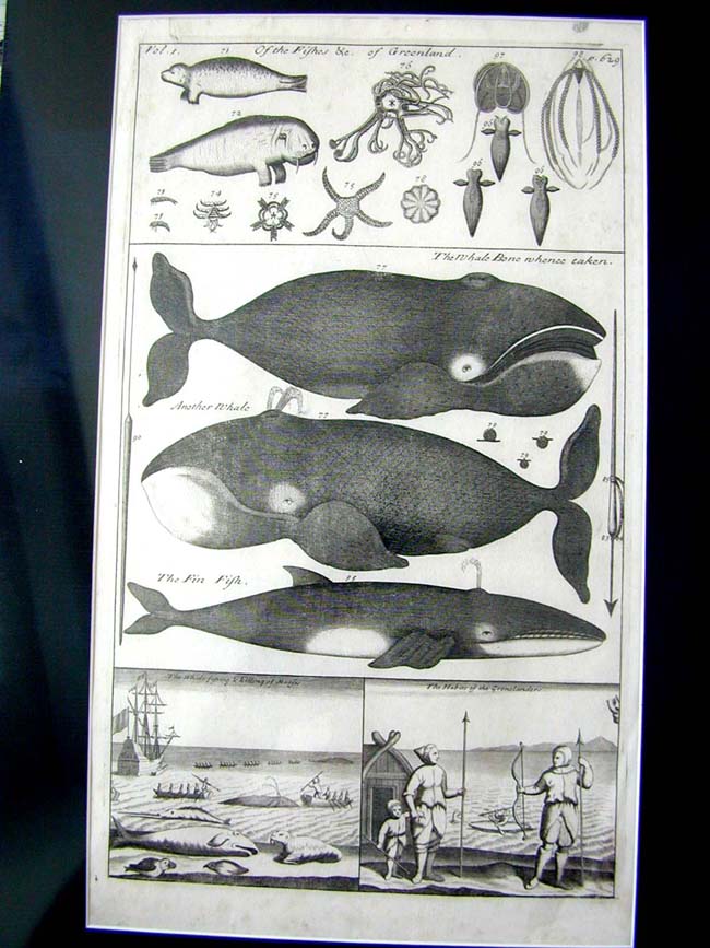 A Rare Late 17th Century Whaling Print plus the Frontispece from John Harris's VOYAGES & TRAVELS Published in 1705 — image 2