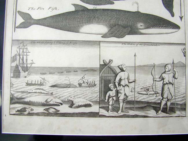 A Rare Late 17th Century Whaling Print plus the Frontispece from John Harris's VOYAGES & TRAVELS Published in 1705 — image 3